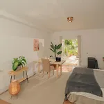 Canaan In Tenerife - Heated Pool, Ocean Views, Palm Garden, Appartement *