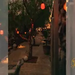 Canaan In Tenerife - Heated Pool, Ocean Views, Palm Garden, Daire *