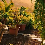 Canaan In Tenerife - Heated Pool, Ocean Views, Palm Garden, 公寓 阿德耶