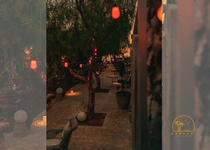 Canaan In Tenerife - Heated Pool, Ocean Views, Palm Garden, Appartement *