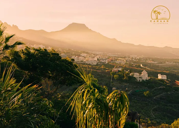 Apartment Canaan In Tenerife - Heated Pool, Ocean Views, Palm Garden,