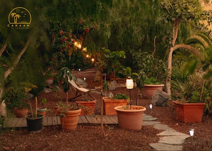 Canaan In Tenerife - Heated Pool, Ocean Views, Palm Garden, Appartement *