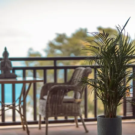 Canaan In Tenerife - Heated Pool, Ocean Views, Palm Garden, 公寓 阿德耶